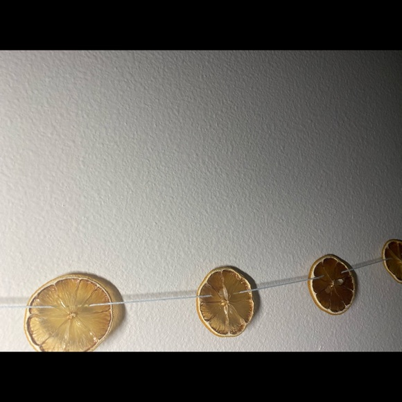 Handmade Lemon Garland - Picture 4 of 5